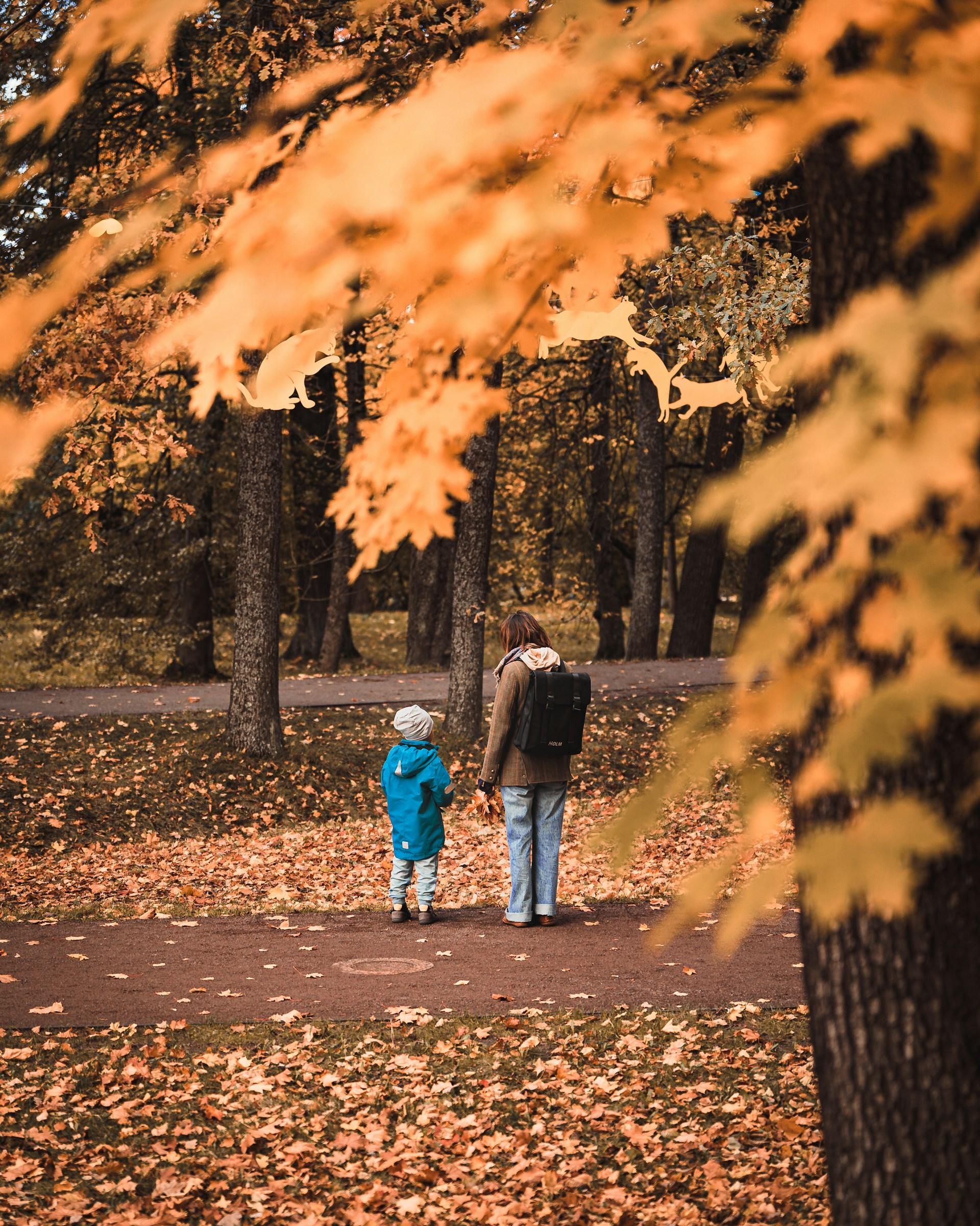 Cover Image for Protect Your Family This Autumn: Private Flu Jab Appointments in Stoke-on-Trent and Stafford